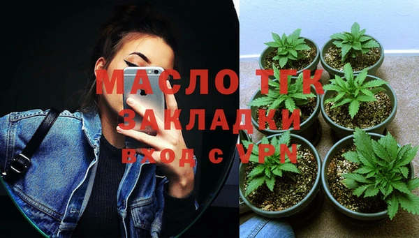 твердый Богородицк