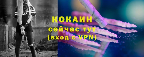 твердый Богородицк