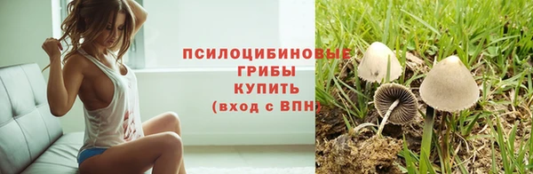 твердый Богородицк