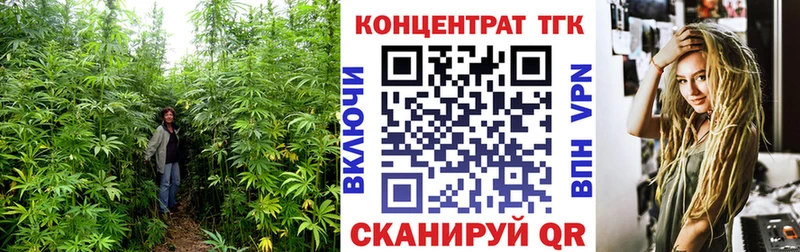 Купить  Малая Вишера  Дистиллят ТГК Wax 