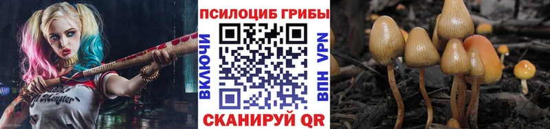 Галлюциногенные грибы прущие грибы Купить закладки Малая Вишера