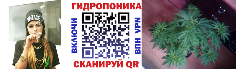 Купить  Малая Вишера  Каннабис LSD WEED 